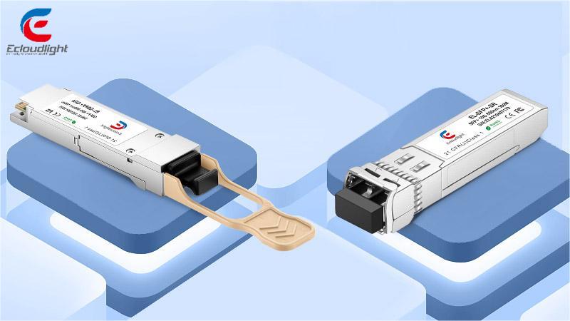 QSFP VS SFP-Module 4 Unterschiede, die Sie kennen sollten